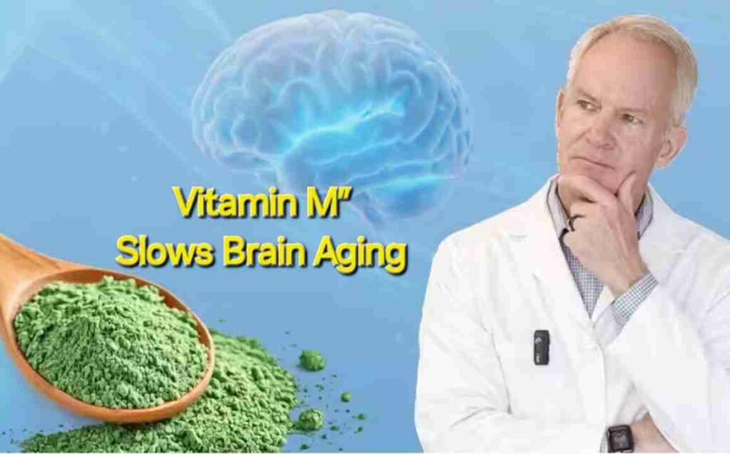 Slow brain 